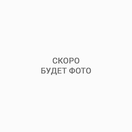 Штакетник толщина 0,45 Принтек Прямой